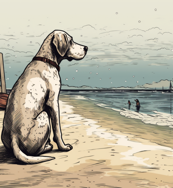 Hund schaut aufs Meer